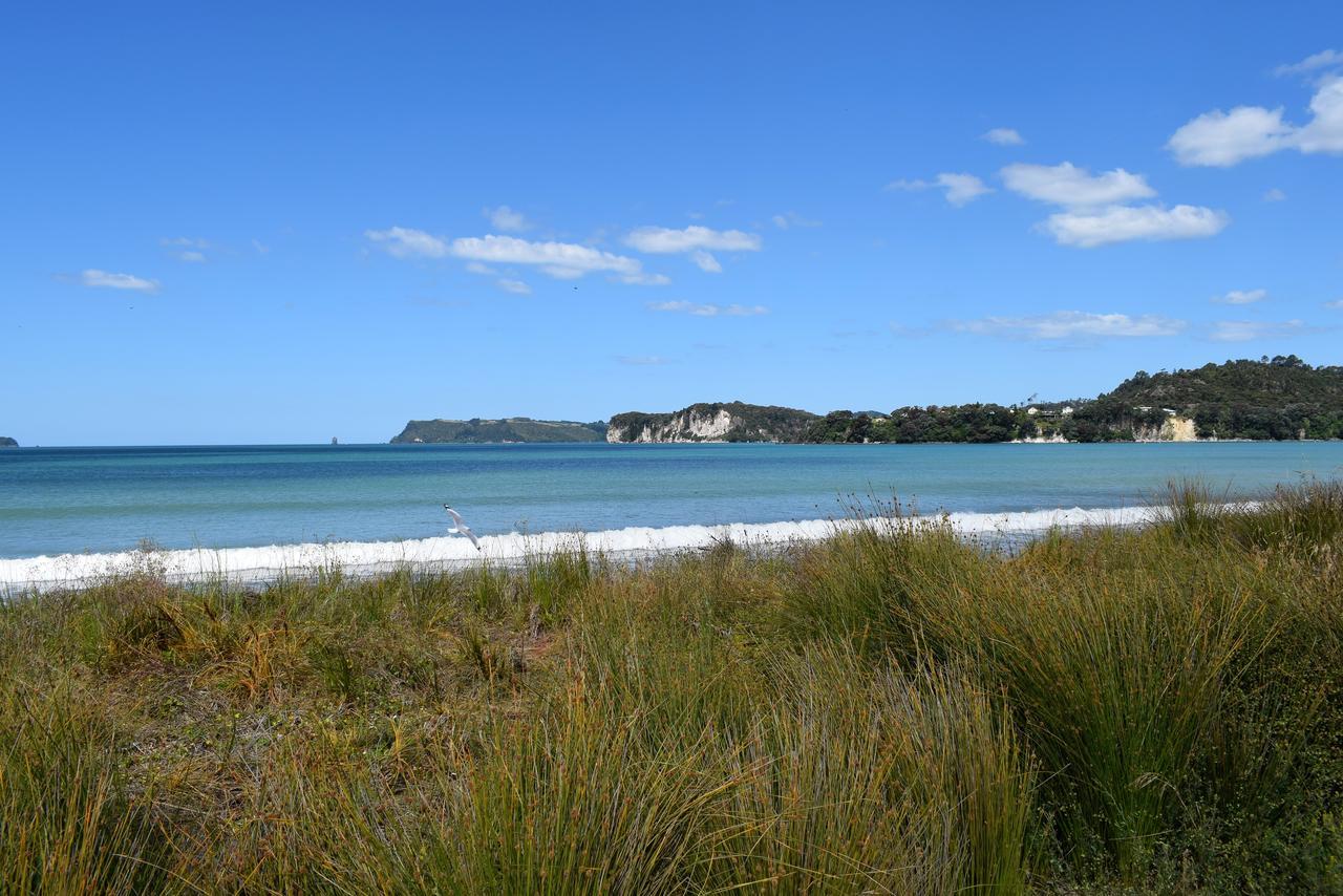 Paradise In Whitianga B&B Wells Place מראה חיצוני תמונה